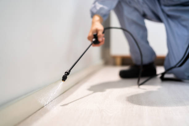Bed Bug Pre-Treatment Preparation Assessment in San Joaquin