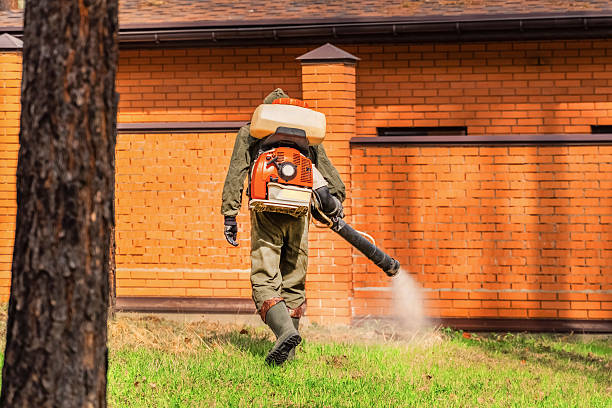Bed Bug Clearance Verification and Documentation in San Joaquin